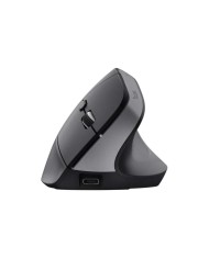 RATON TRUST BAYO+ ERGONOMICO 2400 DPI WIRELESS BLACK