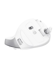 RATON TRUST BAYO II ERGONOMICO ECO 2400 DPI WIRELESS RECARGABLE WHITE