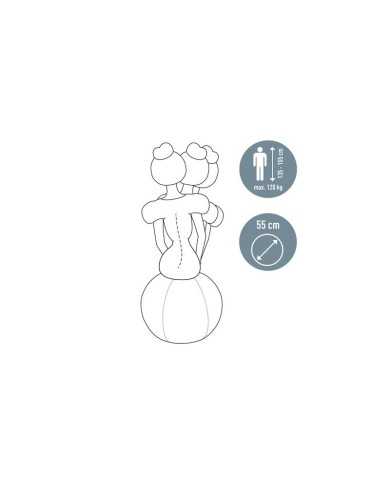 ASIENTO BALON LEITZ ANTIDESLIZANTE ERGO ACTIVE 55CM SILVER ASIENTO BALON LEITZ ANTIDESLIZANTE ERGO ACTIVE 55CM SILVER