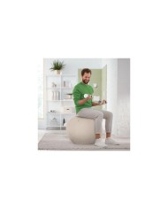 ASIENTO BALON LEITZ ANTIDESLIZANTE ERGO ACTIVE 65CM SILVER