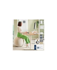 ASIENTO BALON LEITZ ANTIDESLIZANTE ERGO ACTIVE 65CM SILVER
