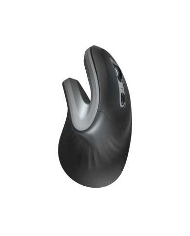 RATON TRUST VERRO WIRELESS ERGONOMIC