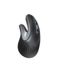 RATON TRUST VERRO WIRELESS ERGONOMIC