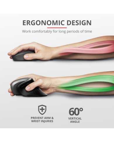 RATON TRUST VERRO WIRELESS ERGONOMIC RATON TRUST VERRO WIRELESS ERGONOMIC