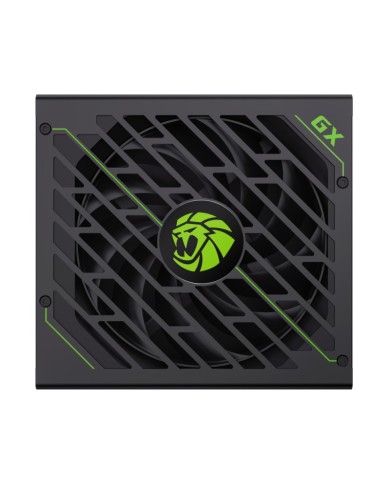 FUENTE DE ALIMENTACION GM 1250W PRO FULL MODULAR 80+ PLATINUM ATX3.1 PCIE5.1