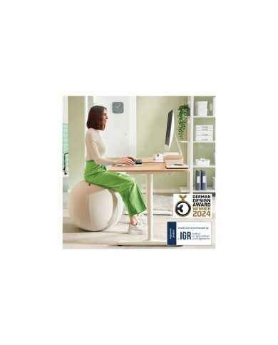 ASIENTO BALON LEITZ ANTIDESLIZANTE ERGO ACTIVE 55CM SILVER