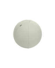 ASIENTO BALON LEITZ ANTIDESLIZANTE ERGO ACTIVE 65CM SILVER