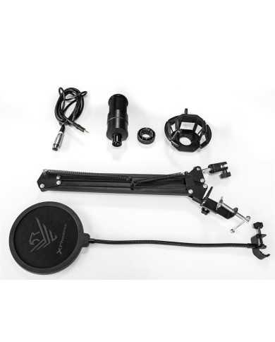 MICROFONO PHOENIX PROFESIONAL + BRAZO ARTICULADO + FILTRO ANTIPOP JACK MICROFONO PHOENIX PROFESIONAL + BRAZO ARTICULADO + FILTRO ANTIPOP JACK