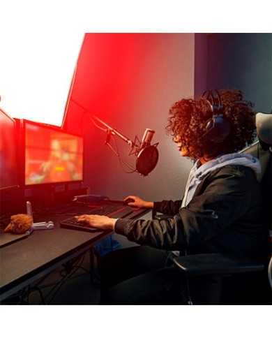 MICROFONO PHOENIX PROFESIONAL + BRAZO ARTICULADO + FILTRO ANTIPOP JACK MICROFONO PHOENIX PROFESIONAL + BRAZO ARTICULADO + FILTRO ANTIPOP JACK