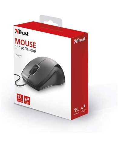 RATON TRUST CARVE USB BLACK RATON TRUST CARVE USB BLACK