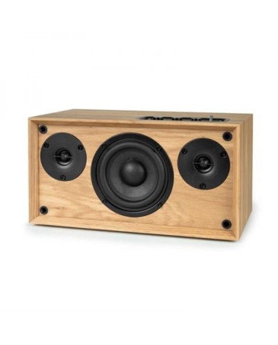 ALTAVOZ BLUETOOTH 100W CON CAJA MADERA WS502 THOMSOM