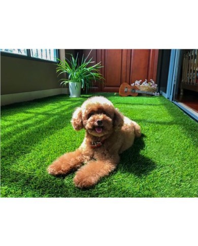 CESPED ARTIFICIAL 2X10 METROS 30MM SERIE ELEGANT SUNGARDEN