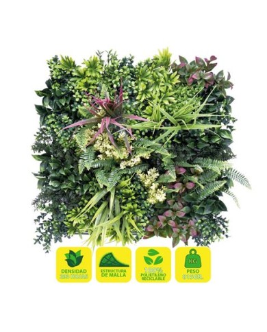 JARDIN VERTICAL 50X50CM SERIE ARBÓREA SUNGARDEN