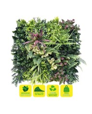 JARDIN VERTICAL 50X50CM SERIE ARBÓREA SUNGARDEN