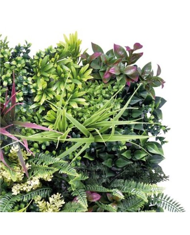 JARDIN VERTICAL 50X50CM SERIE ARBÓREA SUNGARDEN