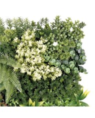 JARDIN VERTICAL 50X50CM SERIE ECOVIS SUNGARDEN