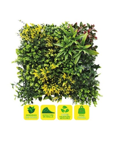 JARDIN VERTICAL 50X50CM SERIE GREENWALL SUNGARDEN