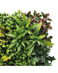 JARDIN VERTICAL 50X50CM SERIE GREENWALL SUNGARDEN