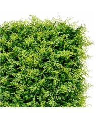 JARDIN VERTICAL 50X50CM SERIE JARDINO SUNGARDEN