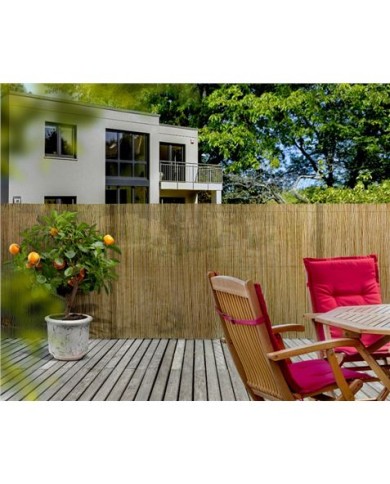 CAÑIZO NATURAL ENTERO 2X3 METROS SUNGARDEN