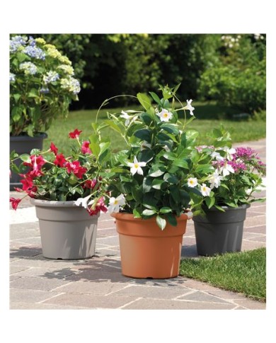 MACETA REDONDA DIAMETRO 20CM TERRACOTA ARTPLAST