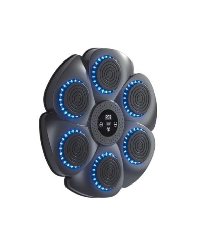 MAQUINA DE BOXEO INTELIGENTE CON MUSICA SF02 XO