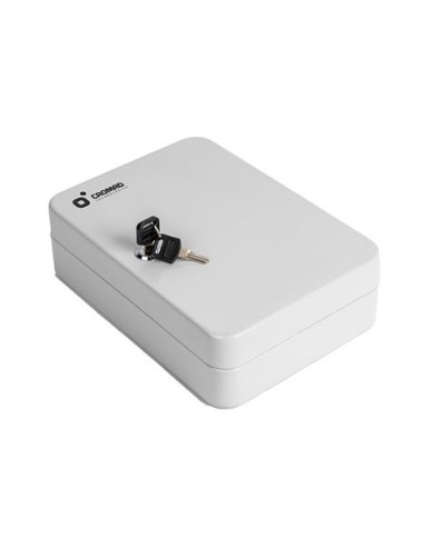 ARMARIO DE SEGURIDAD PARA LLAVES 25X18X8CM 48PCS CROMAD