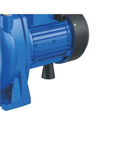 ELECTROBOMBA CENTRIFUGA MONOBLOC 2HP BLIM