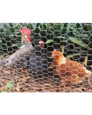 MALLA GALLINERO HEXAGONAL 19X0.7MM 1X50 METROS SUNGARDEN