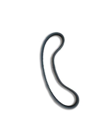 CORREA PARA MOTOCULTOR 48413 SAURIUM