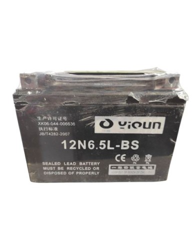 BATERIA TRICICLO 51604 BIWOND