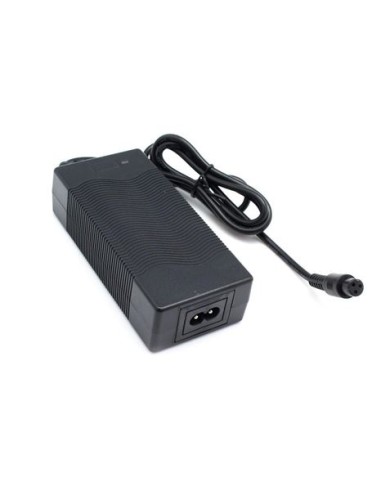 CARGADOR ORIGINAL SPEEDO SMART BALANCE