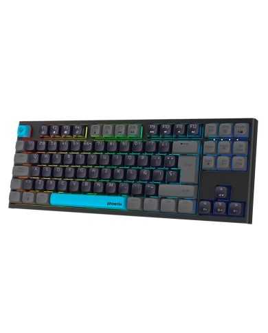 TECLADO PHOENIX ROYAL GAMING MECANICO USB RGB BLACK TECLADO PHOENIX ROYAL GAMING MECANICO USB RGB BLACK