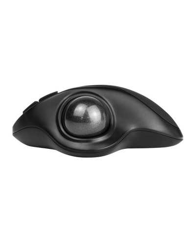 RATON PHOENIX ERGONOMICO TRACKBALL WIRELESS BLACK RATON PHOENIX ERGONOMICO TRACKBALL WIRELESS BLACK