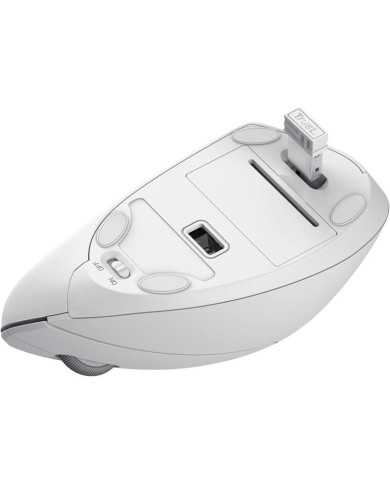 RATON TRUST VERTO WIRELESS ERGONOMIC WHITE RATON TRUST VERTO WIRELESS ERGONOMIC WHITE
