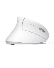 RATON TRUST VERTO USB ERGONOMIC WHITE