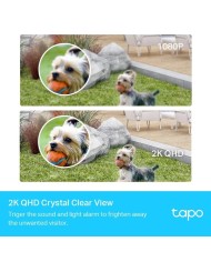 CAMARA IP TP-LINK TAPO C420S2 WIRELESS 2K QHD IP65 EXTERIOR (PACK 2UD)