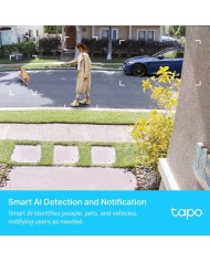 CAMARA IP TP-LINK TAPO C420S2 WIRELESS 2K QHD IP65 EXTERIOR (PACK 2UD)